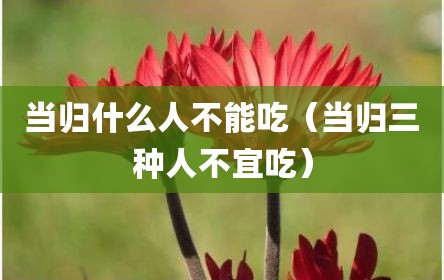 当归什么人不能吃（当归三种人不宜吃）
