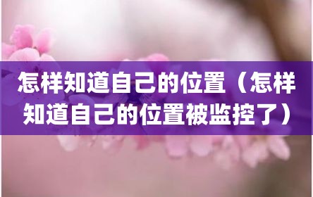怎样知道自己的位置（怎样知道自己的位置被监控了）