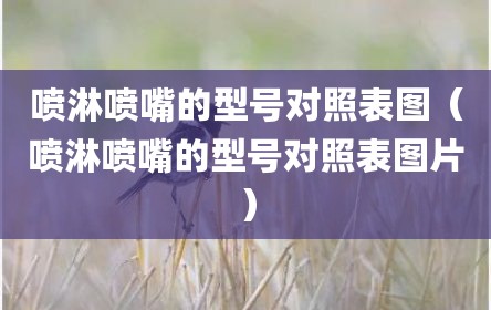 喷淋喷嘴的型号对照表图（喷淋喷嘴的型号对照表图片）