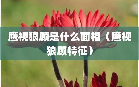 鹰视狼顾是什么面相（鹰视狼顾特征）