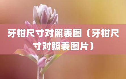 牙钳尺寸对照表图（牙钳尺寸对照表图片）