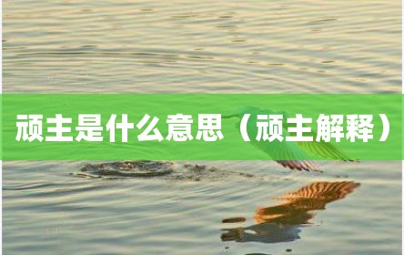 顽主是什么意思（顽主解释）