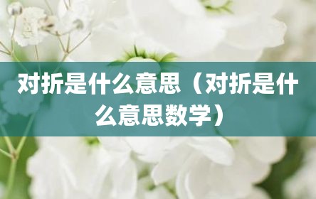 对折是什么意思（对折是什么意思数学）