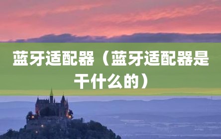 蓝牙适配器（蓝牙适配器是干什么的）