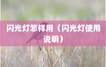 闪光灯怎样用（闪光灯使用说明）