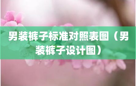 男装裤子标准对照表图（男装裤子设计图）