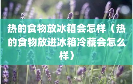 热的食物放冰箱会怎样（热的食物放进冰箱冷藏会怎么样）