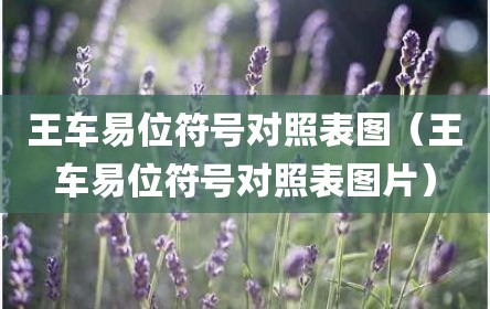 王车易位符号对照表图（王车易位符号对照表图片）