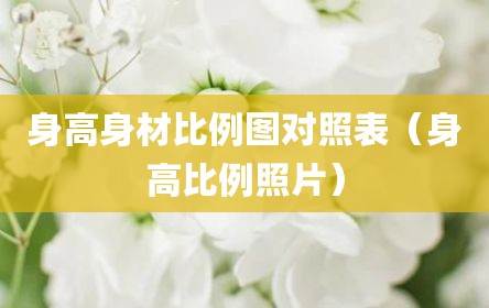 身高身材比例图对照表（身高比例照片）