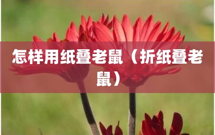 怎样用纸叠老鼠（折纸叠老鼠）