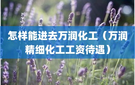 怎样能进去万润化工（万润精细化工工资待遇）