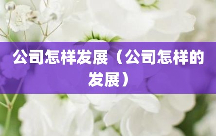 公司怎样发展（公司怎样的发展）