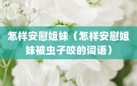 怎样安慰姐妹（怎样安慰姐妹被虫子咬的词语）