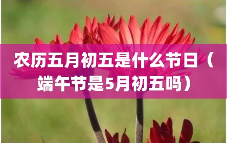 农历五月初五是什么节日（端午节是5月初五吗）