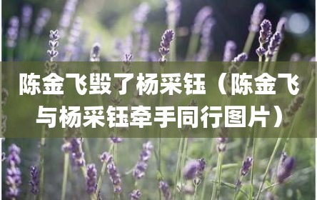 陈金飞毁了杨采钰（陈金飞与杨采钰牵手同行图片）