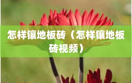 怎样镶地板砖（怎样镶地板砖视频）
