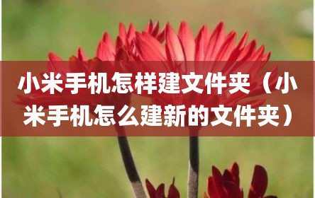 小米手机怎样建文件夹（小米手机怎么建新的文件夹）