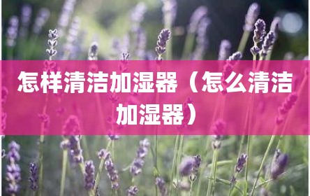 怎样清洁加湿器（怎么清洁加湿器）
