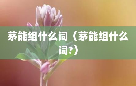 茅能组什么词（茅能组什么词?）