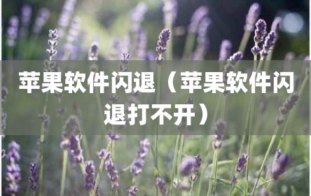 苹果软件闪退（苹果软件闪退打不开）