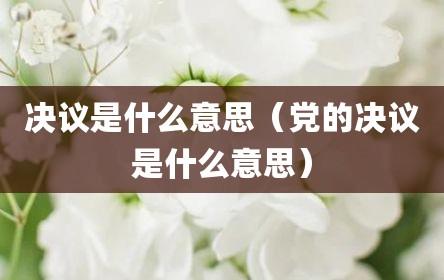 决议是什么意思（党的决议是什么意思）