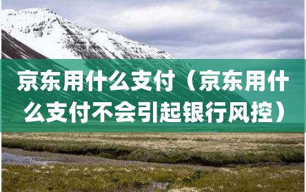 京东用什么支付（京东用什么支付不会引起银行风控）