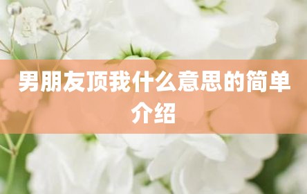 男朋友顶我什么意思的简单介绍