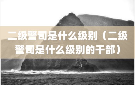 二级警司是什么级别（二级警司是什么级别的干部）
