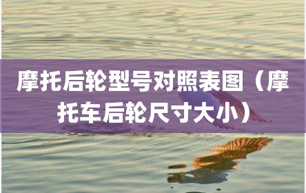 摩托后轮型号对照表图（摩托车后轮尺寸大小）
