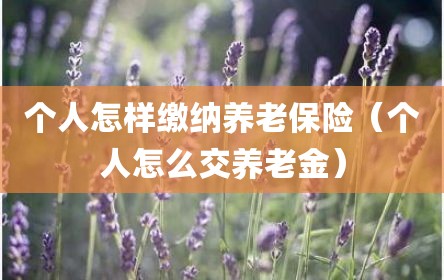 个人怎样缴纳养老保险（个人怎么交养老金）