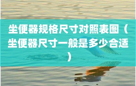 坐便器规格尺寸对照表图（坐便器尺寸一般是多少合适）
