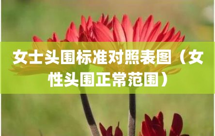 女士头围标准对照表图（女性头围正常范围）