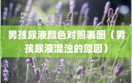 男孩尿液颜色对照表图（男孩尿液混浊的原因）