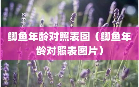 鲫鱼年龄对照表图（鲫鱼年龄对照表图片）