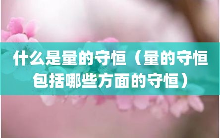 什么是量的守恒（量的守恒包括哪些方面的守恒）