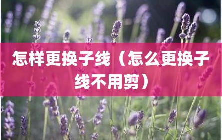 怎样更换子线（怎么更换子线不用剪）