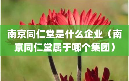 南京同仁堂是什么企业（南京同仁堂属于哪个集团）