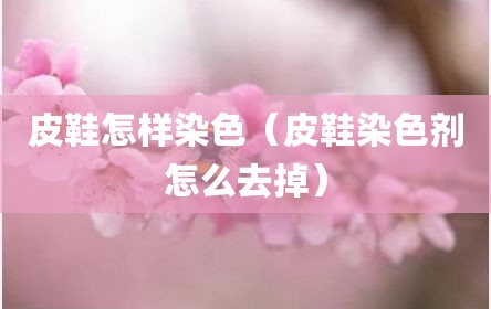 皮鞋怎样染色（皮鞋染色剂怎么去掉）