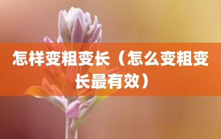 怎样变粗变长（怎么变粗变长最有效）