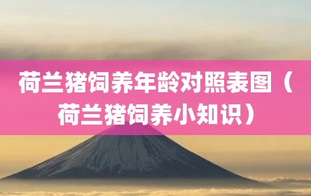 荷兰猪饲养年龄对照表图（荷兰猪饲养小知识）