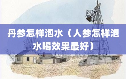 丹参怎样泡水（人参怎样泡水喝效果最好）