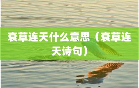 衰草连天什么意思（衰草连天诗句）