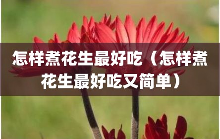 怎样煮花生最好吃（怎样煮花生最好吃又简单）