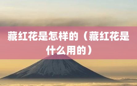 藏红花是怎样的（藏红花是什么用的）