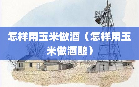 怎样用玉米做酒（怎样用玉米做酒酿）