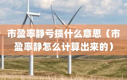 市盈率静亏损什么意思（市盈率静怎么计算出来的）