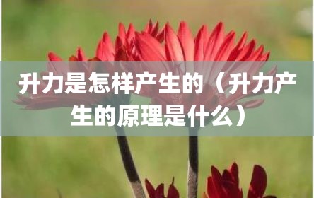 升力是怎样产生的（升力产生的原理是什么）