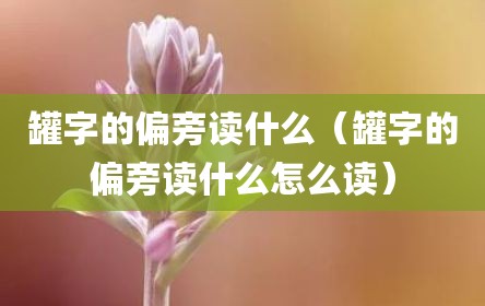 罐字的偏旁读什么（罐字的偏旁读什么怎么读）