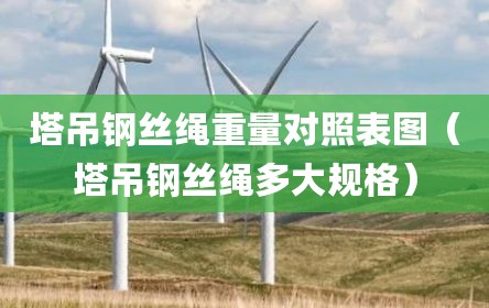塔吊钢丝绳重量对照表图（塔吊钢丝绳多大规格）