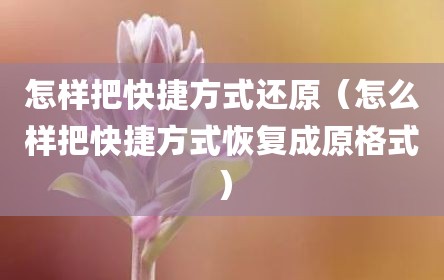 怎样把快捷方式还原（怎么样把快捷方式恢复成原格式）